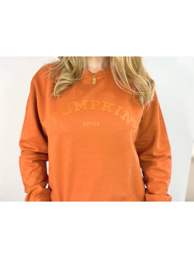 Pumpkin Spice Sweater | Fall Clothing Sweatshirt